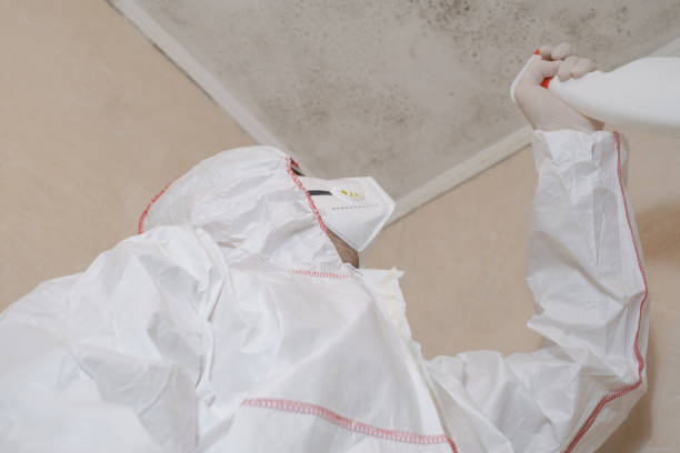 Best Commercial Mold Removal  in USA